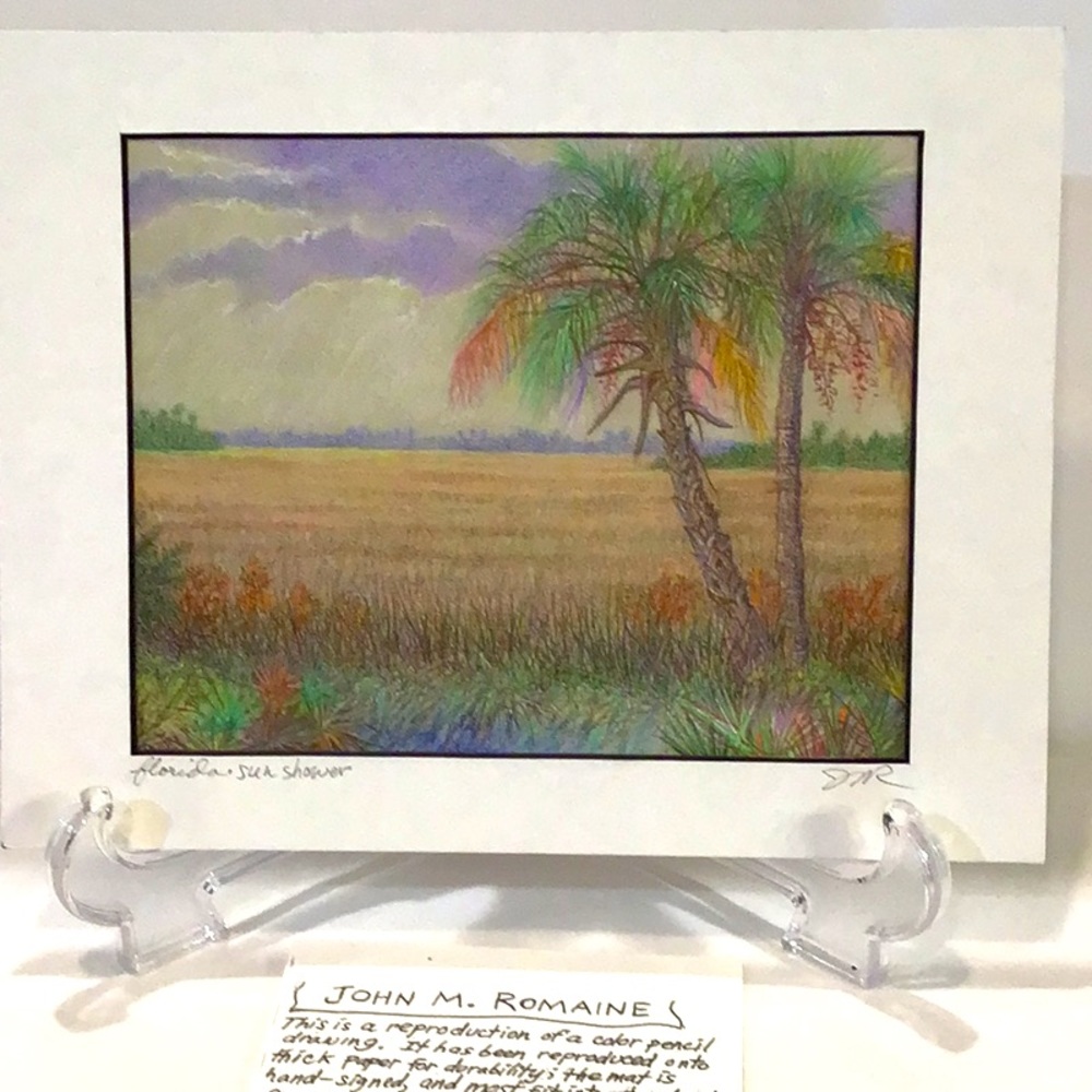 Art “Florida Sun Shower” reproduction by the artist nicely matted